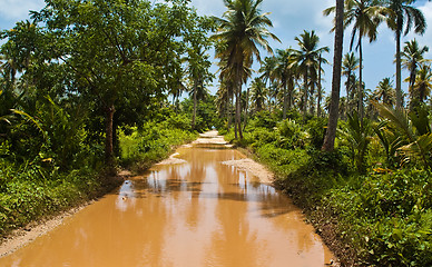 Image showing Road to Playa Rincon Puddle