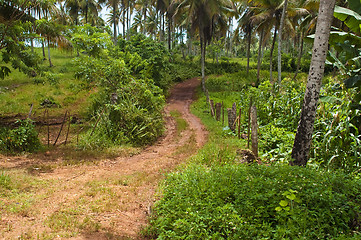 Image showing Road to Playa Rincon Low View