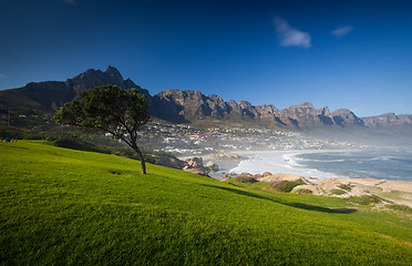 Image showing Grass and Blue Sky