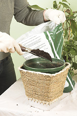 Image showing green thumb