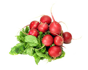 Image showing Red Radishes