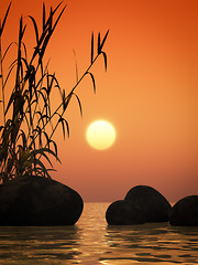 Image showing ocean sunset bamboo and stones