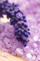 Image showing Lavender flowers and the bath salt - beauty treatment 