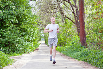 Image showing man is jogging in the forest