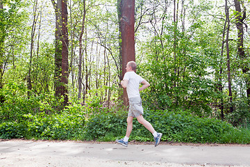 Image showing man is jogging in the forest