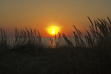 Image showing sunset beach