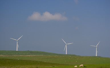 Image showing Windmills