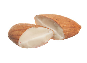 Image showing Macro of sliced hazelnut