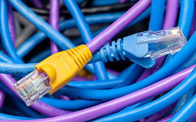 Image showing Cat 5 cables in multiple colors