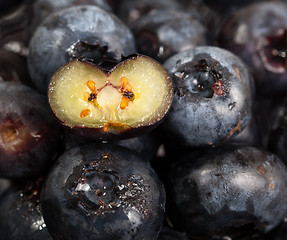 Image showing Fresh sliced blueberries