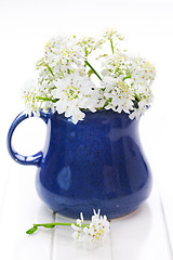 Image showing Spring flowers in vase