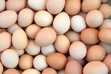 Image showing Heap of chicken eggs