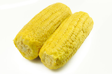 Image showing Two corncobs on white