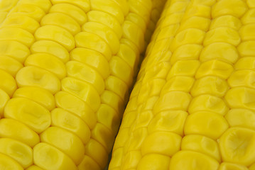 Image showing Two corncobs close up