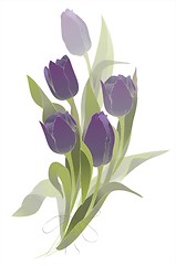 Image showing Bouquet of tulips .  Buds and flowers of a tulips.  Spring tulip flowers bunch.