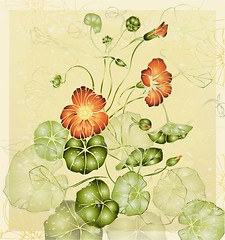 Image showing Greeting card with nasturtium. Illustration nasturtium.