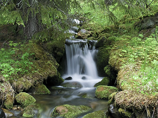 Image showing Stream