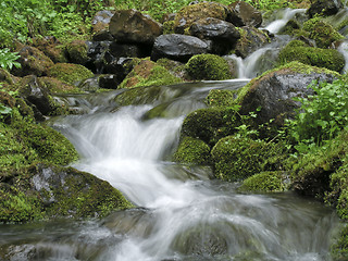 Image showing Stream