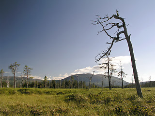 Image showing Nature Landscape