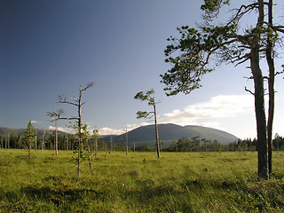 Image showing Nature landscape