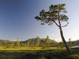 Image showing Nature Landscape