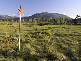 Image showing Nature landscape