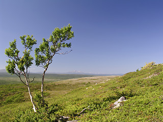 Image showing Nature Landscape