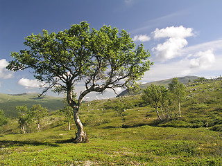 Image showing Mountain Landscape