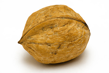 Image showing Single Walnut