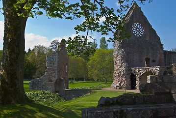 Image showing Dryburgh Abbey