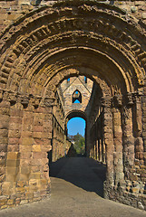 Image showing Jedburgh Abbey