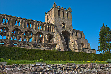 Image showing Jedburgh Abbey