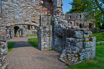 Image showing Dryburgh Abbey