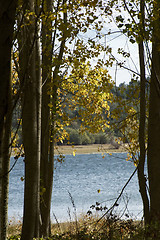 Image showing Autumn scene at Northeastern Portugal