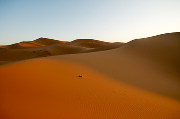 Image showing Sand dune