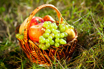 Image showing basket full of fruits