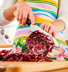 Image showing Woman's hands cutting red cabbage