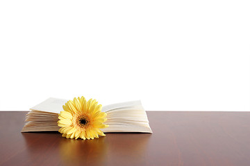 Image showing Flower Book