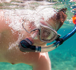 Image showing Snorkeler.