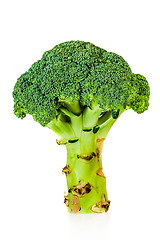 Image showing Broccoli (Brassica silvestris)