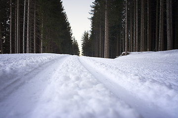 Image showing Cross-Country Ski Run