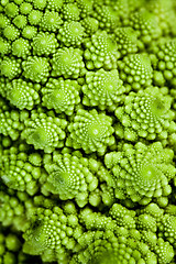 Image showing background - broccolo romanesco (Brassica oleracea)