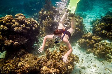 Image showing Snorkeler