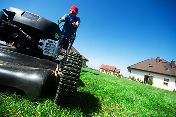 Image showing Mowing the lawn