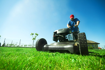 Image showing Mowing the lawn