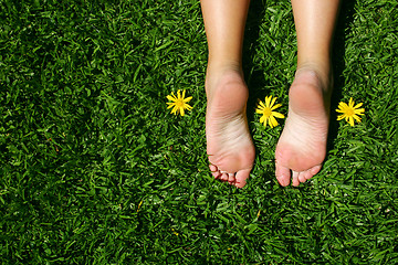 Image showing Grass Feet