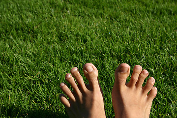 Image showing Grass Feet Series