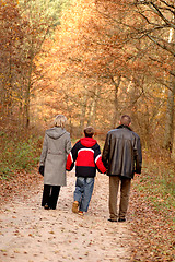 Image showing Family walk