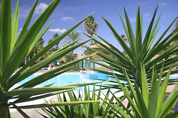 Image showing Resort Scenic