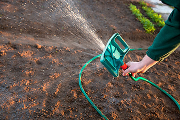 Image showing Man watering the ground